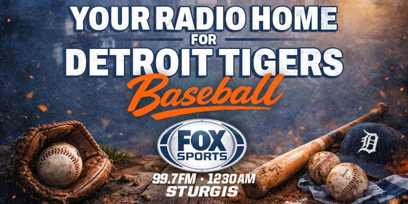 Detroit Tigers Baseball